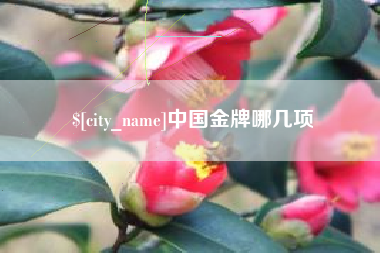 青海中国金牌哪几项