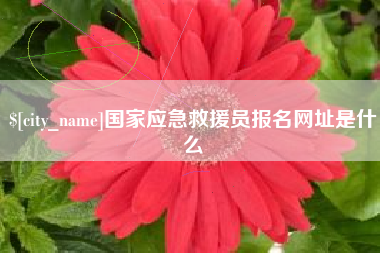 青海国家应急救援员报名网址是什么