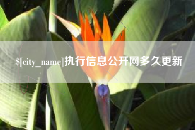 青海执行信息公开网多久更新