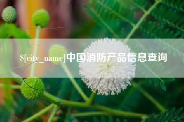 青海中国消防产品信息查询
