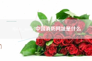青海中国消防网址是什么