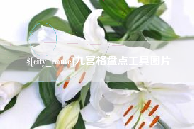 青海九宫格盘点工具图片