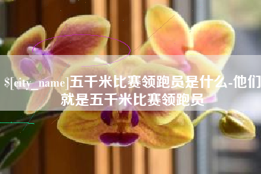 青海五千米比赛领跑员是什么-他们就是五千米比赛领跑员