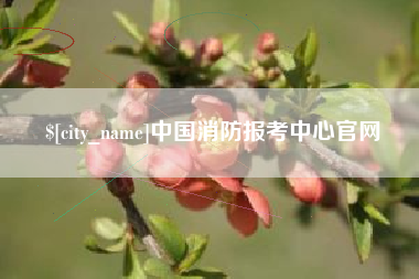 青海中国消防报考中心官网