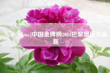 青海中国金牌榜2024巴黎奥运会最新