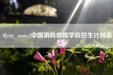 青海中国消防救援学院招生计划表