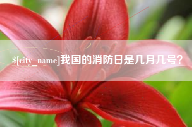 青海我国的消防日是几月几号？