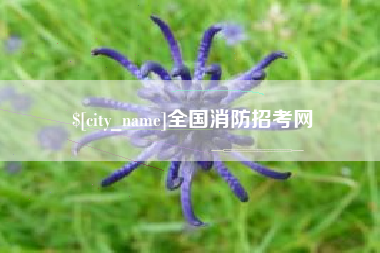 青海全国消防招考网