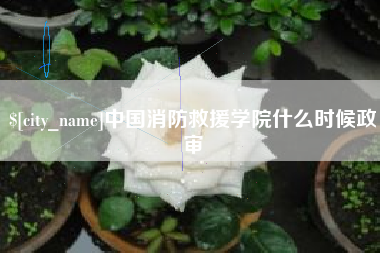 青海中国消防救援学院什么时候政审