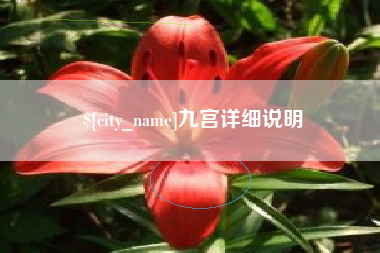 青海九宫详细说明