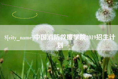 青海中国消防救援学院2019招生计划