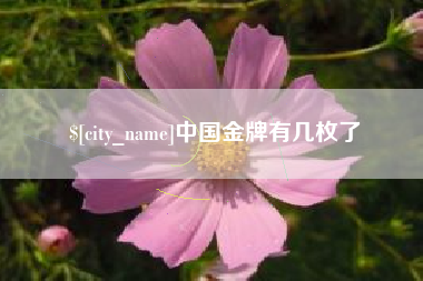 青海中国金牌有几枚了
