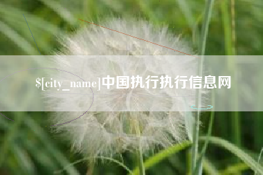 青海中国执行执行信息网