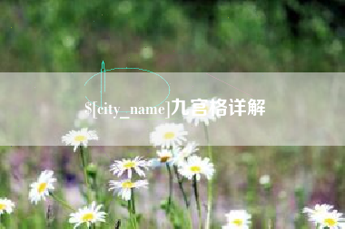 青海九宫格详解