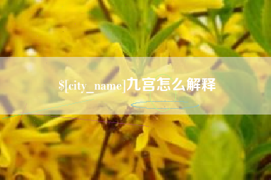 青海九宫怎么解释