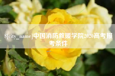 青海中国消防救援学院2020高考报考条件