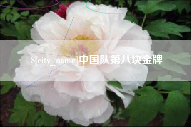 青海中国队第八块金牌