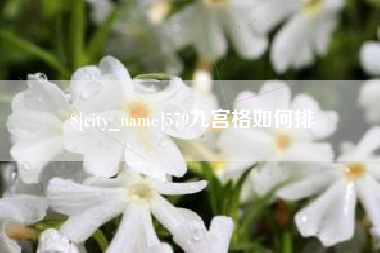 青海579九宫格如何排