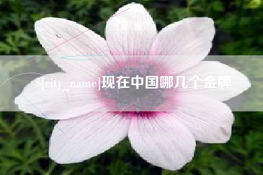 青海现在中国哪几个金牌