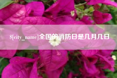 青海全国的消防日是几月几日