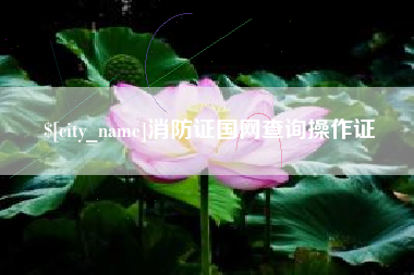 青海消防证国网查询操作证