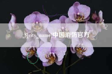 青海中国消防官方