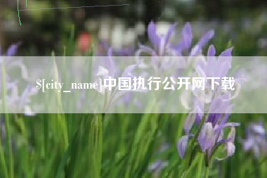 青海中国执行公开网下载