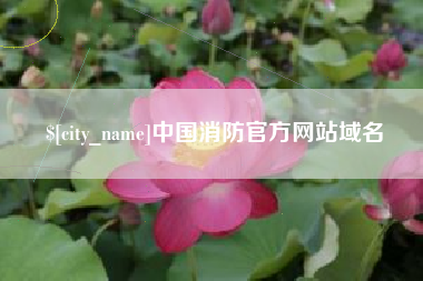 青海中国消防官方网站域名