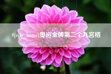 青海奥运金牌第二个九宫格