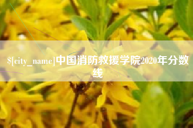 青海中国消防救援学院2020年分数线
