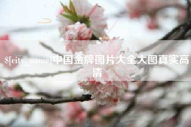 青海中国金牌图片大全大图真实高清