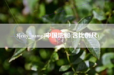 青海中国地图(含比例尺)