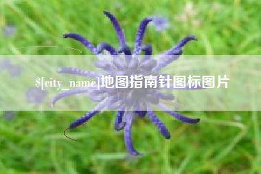 青海地图指南针图标图片