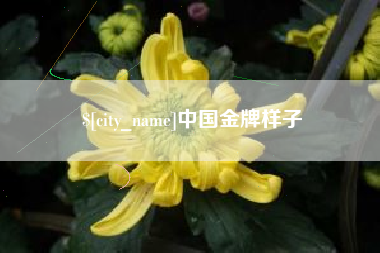 青海中国金牌样子