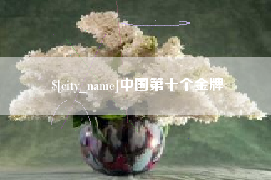青海中国第十个金牌