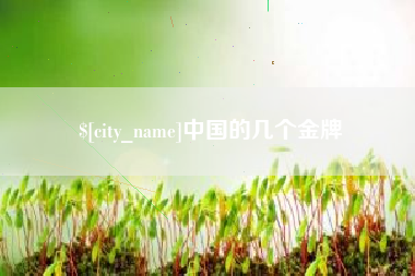 青海中国的几个金牌