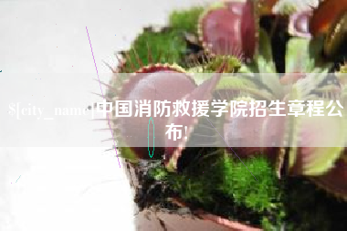 青海中国消防救援学院招生章程公布!