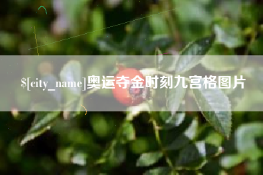 青海奥运夺金时刻九宫格图片