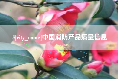 青海中国消防产品质量信息