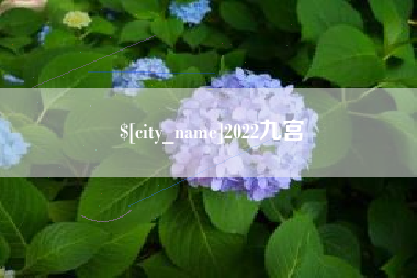 青海2022九宫