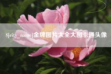 青海金牌图片大全大图卡通头像
