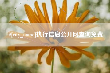 青海执行信息公开网查询免费
