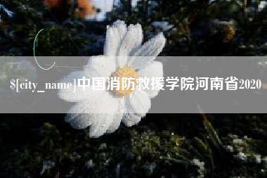 青海中国消防救援学院河南省2020